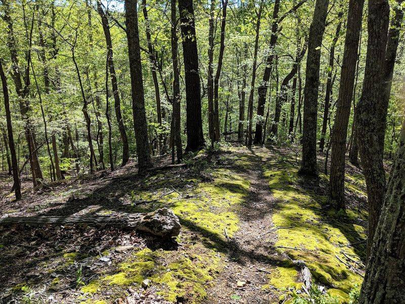 A Gentle Journey Through Ridge And Hollow