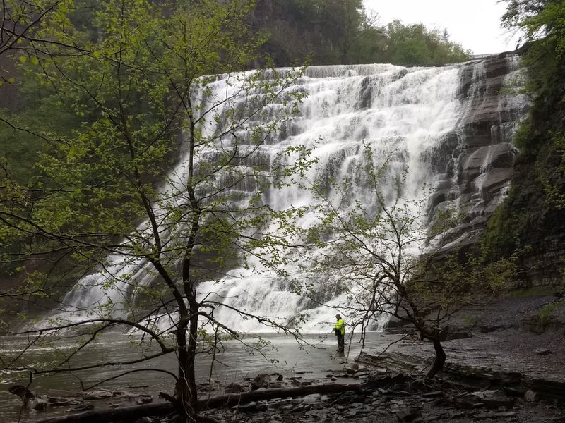 Buttermilk Falls State Park Vs. Ithaca Falls Natural Area