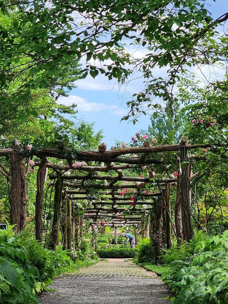 A Marketplace Steeped In Celtic Culture