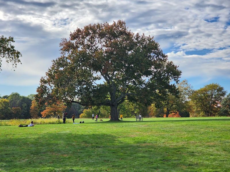 New Canaan