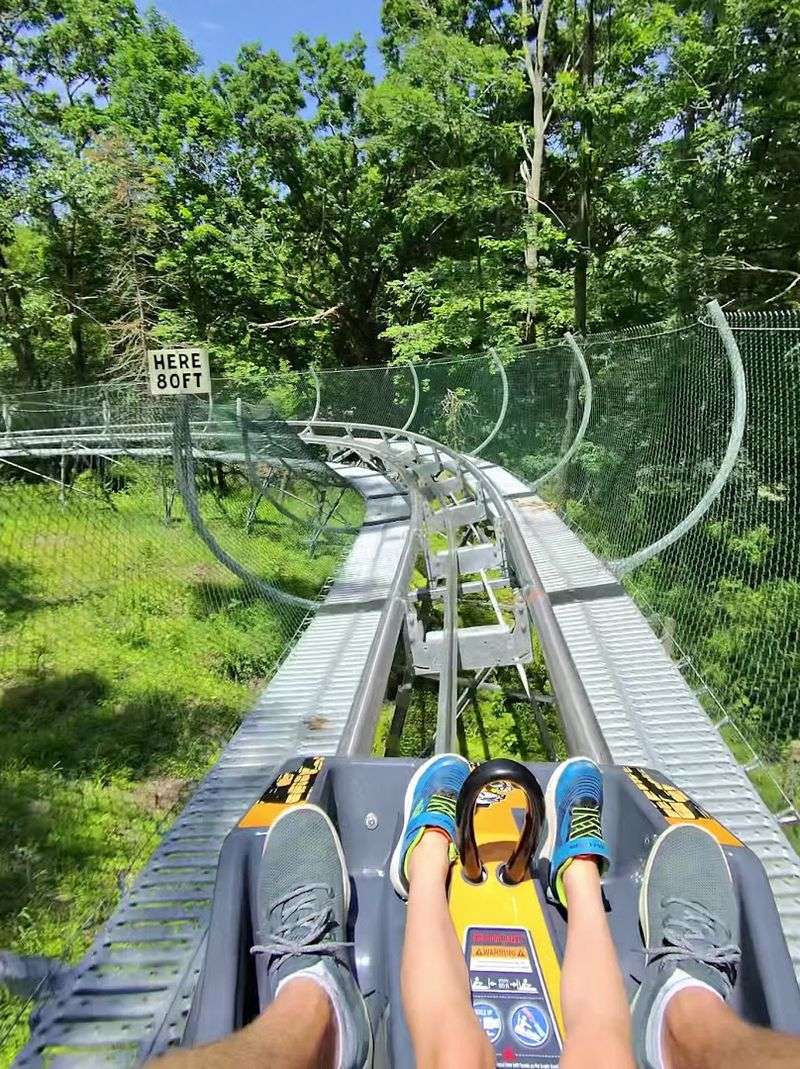 The Ride Experience From Start To Finish