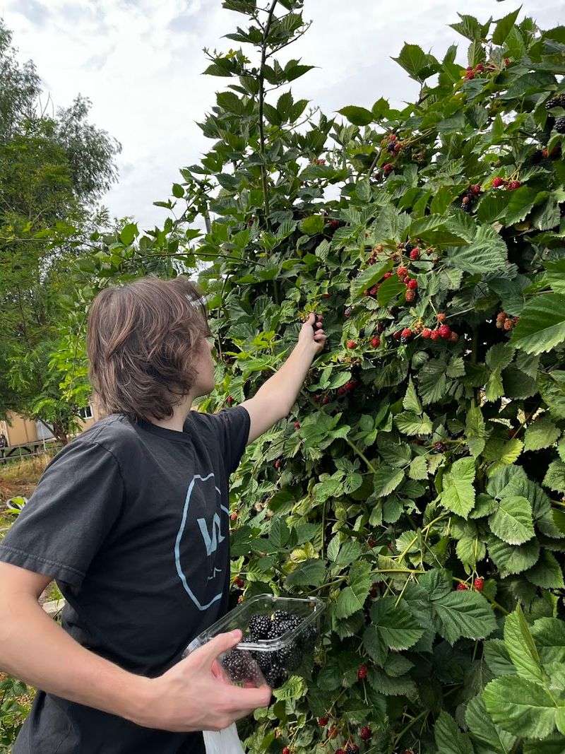 Nampa And Its Deep Agricultural Roots
