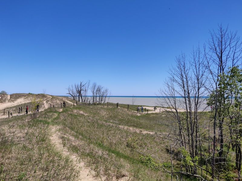 Climb The Dunes For Views Worth Every Step