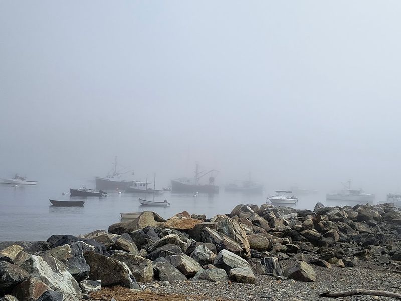 Beyond The Harbor, A Coast Full Of Options
