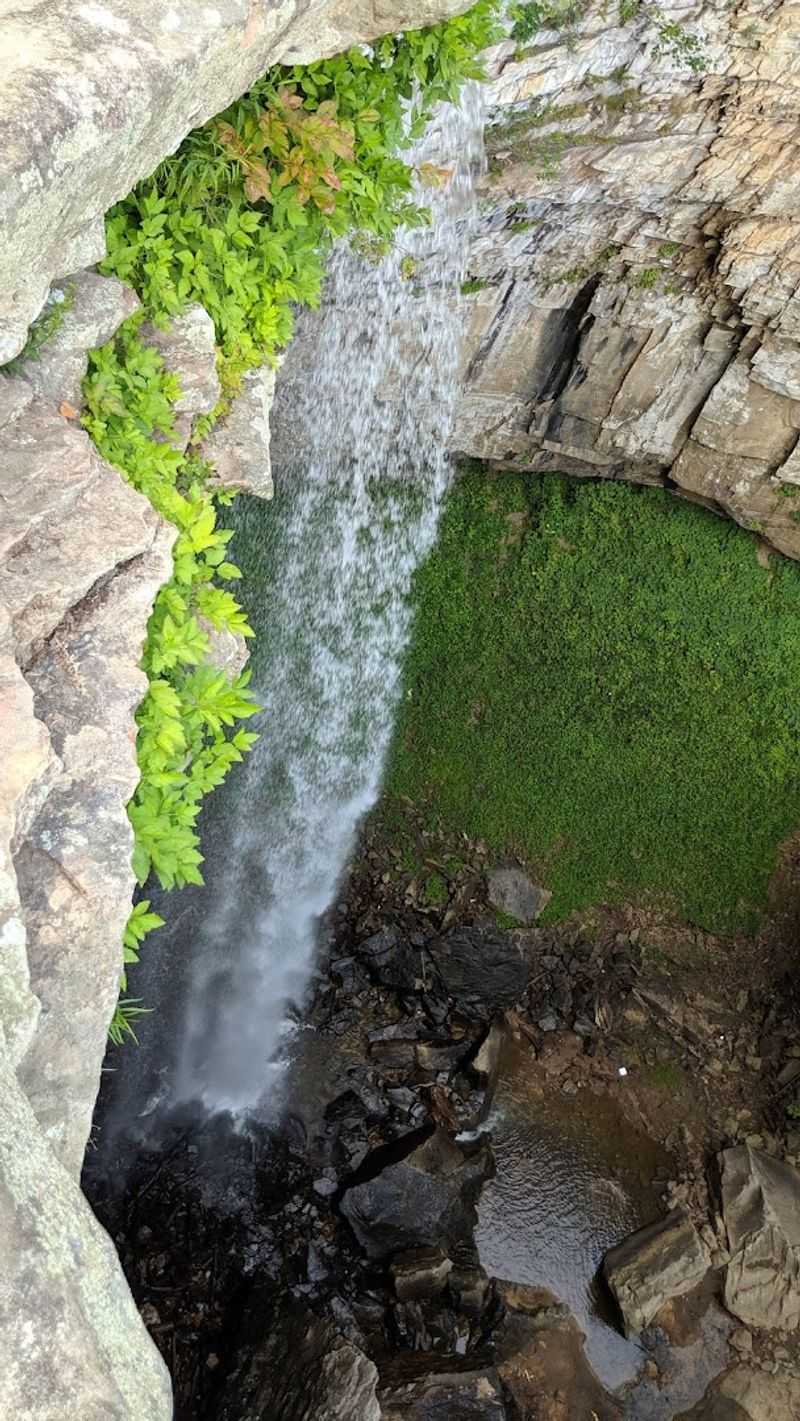 Planning Your Visit For The Best Possible Experience
