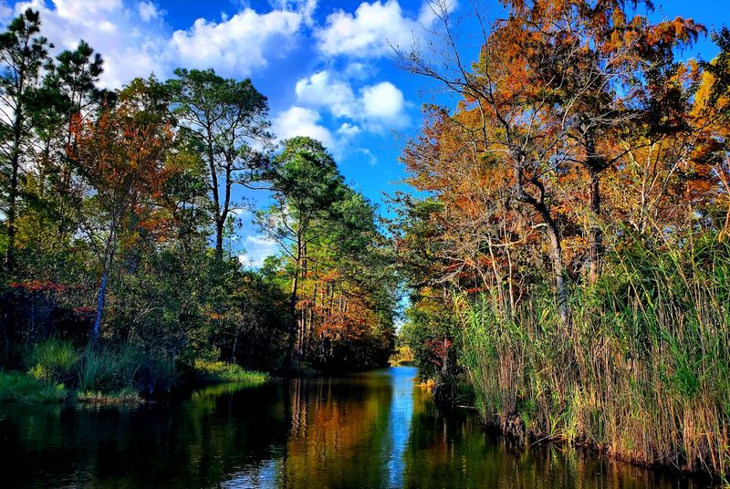 Why This Place Belongs On Your Mississippi Road Trip List