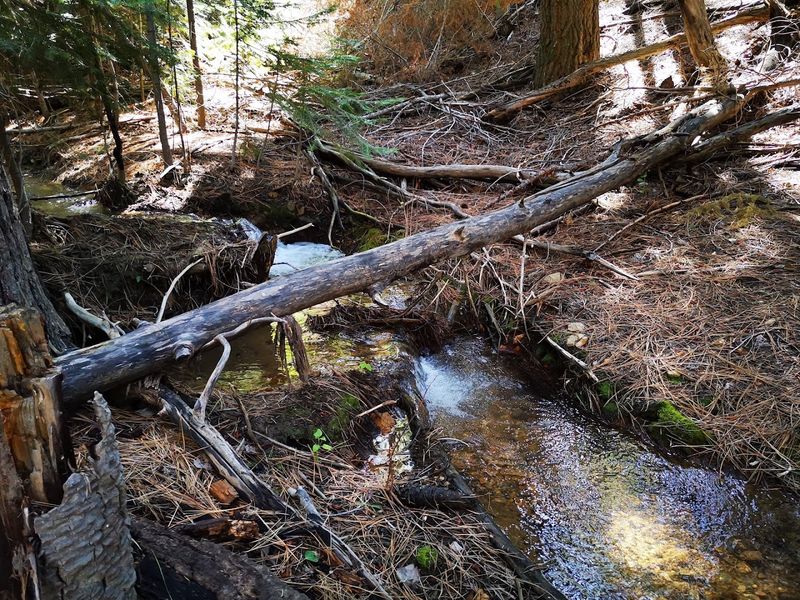 Trail Difficulty and What To Realistically Expect