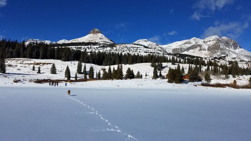 Winter Turns Everything Into A Different Kind Of Beautiful