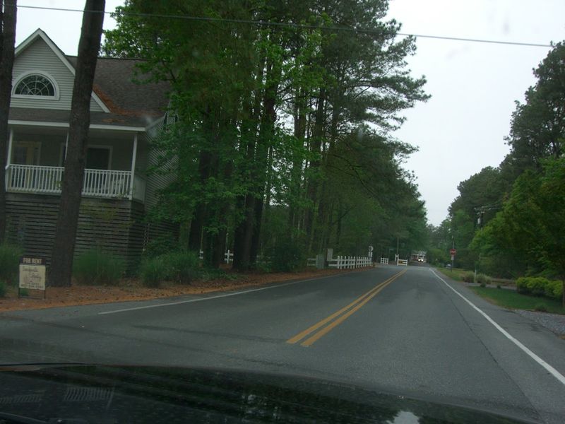 Traffic, Noise, and the Slow Erosion of Calm
