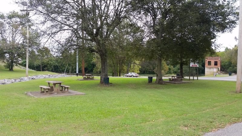 Where Old Trees Offer Shade And Shelter