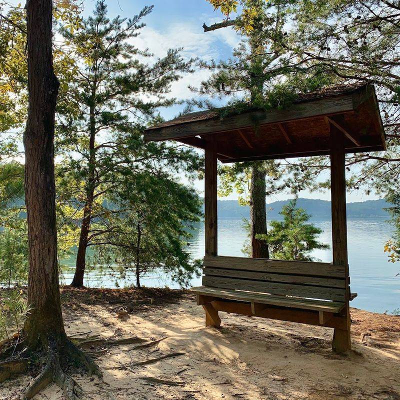 Tranquil Vistas And Natural Observations