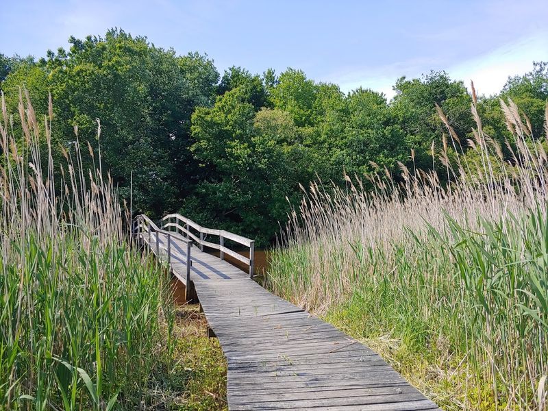 Wilderness Sanctuaries And Riverine Majesty