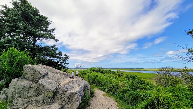 Watch The Sky Come Alive With Coastal Birds