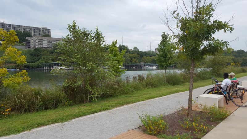 Urban Waterfront Tranquility