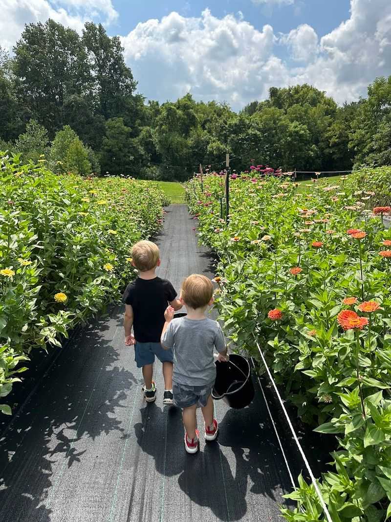 Cultivating Community Amidst The Blooms