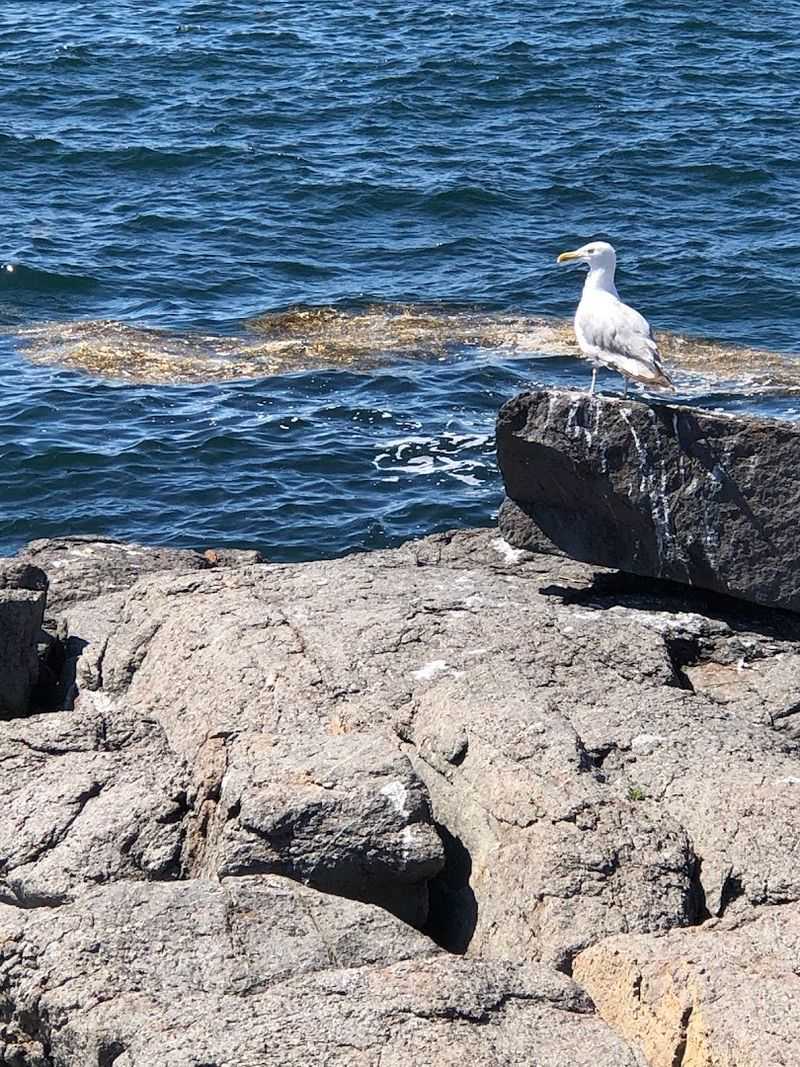 Two Hundred Bird Species Call This A Layover