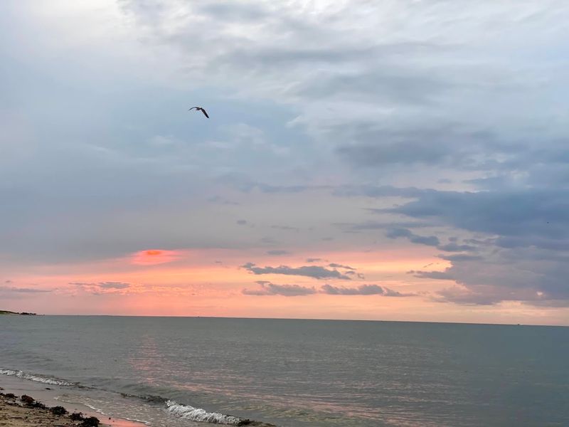 Nature's Quiet Spectacle