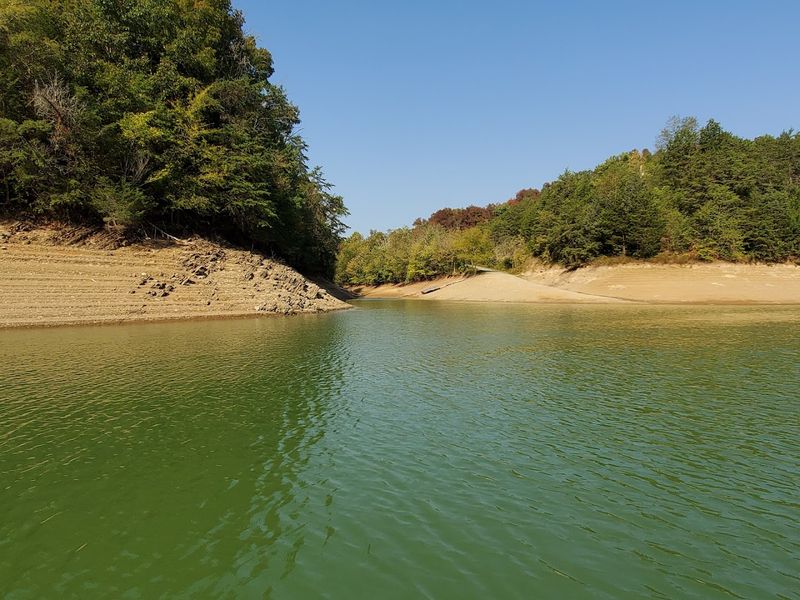 Wildlife's Quiet Haven Along The Shore