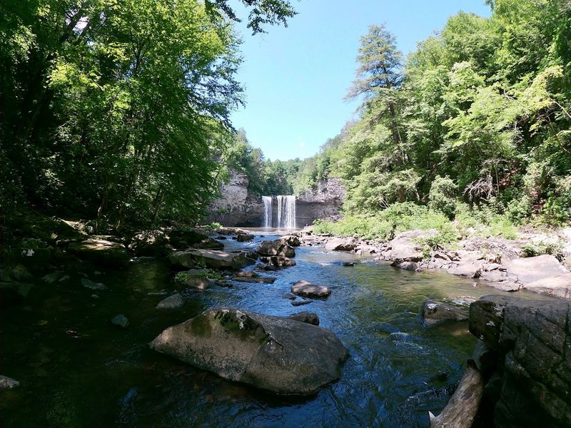 A Plunge Into Peaceful Waters