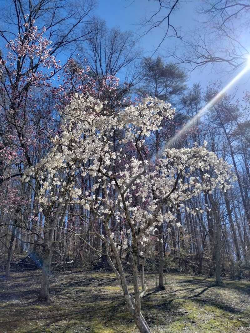 Seasons Of Change And Continual Discovery