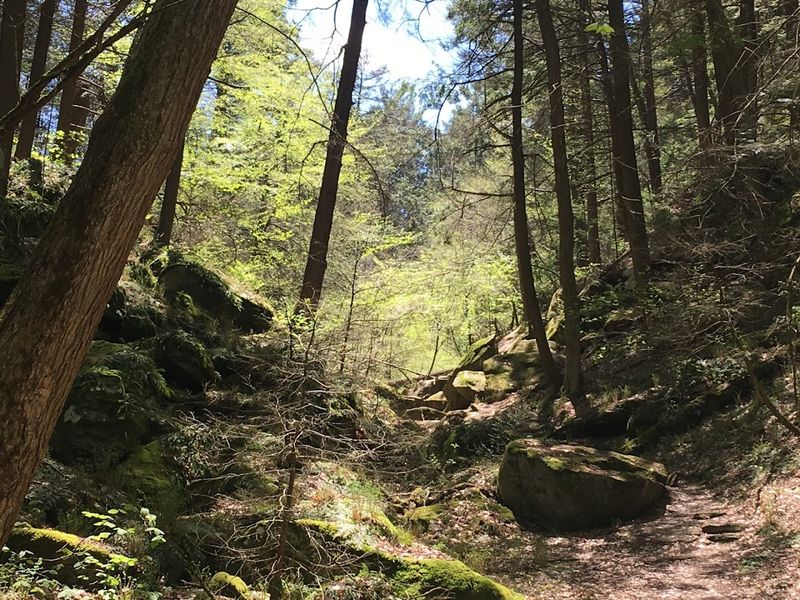 An Otherworldly Journey Through Stone And Shadow