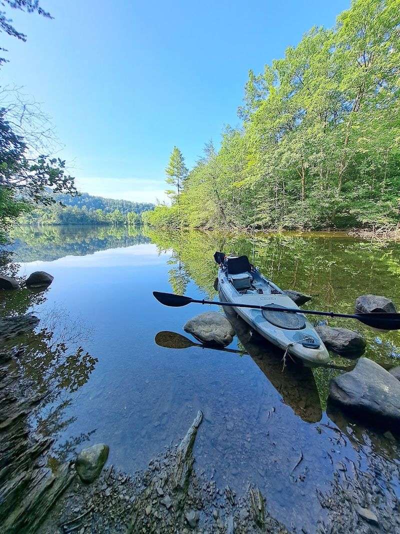 Recreation, Wildlife, And The Cherokee National Forest