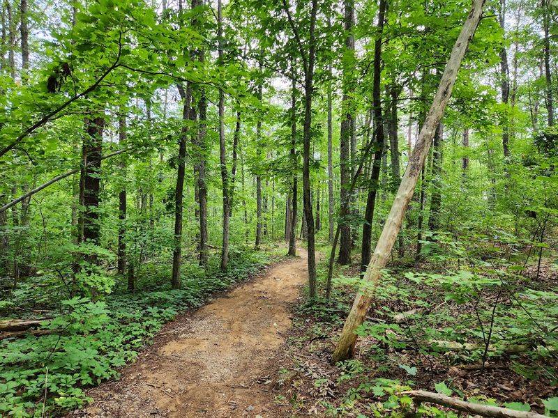 A Trail Short Enough For Anyone, Rewarding Enough For Everyone