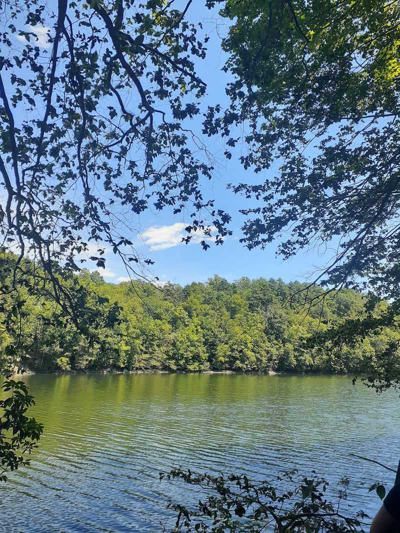 Planning Your Visit Before The Forest Clocks Out