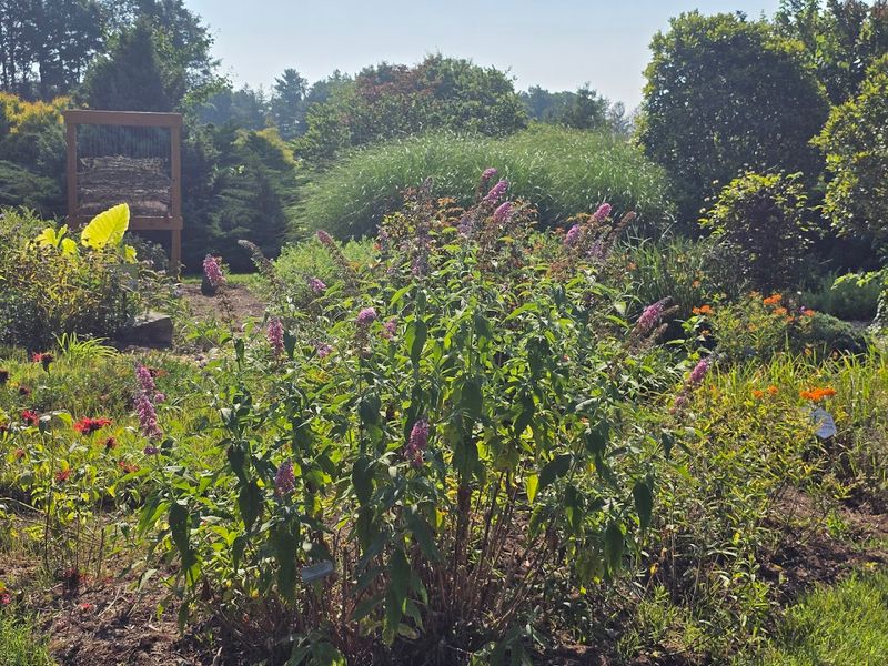 The Garden Makes Plants, Beauty, And Learning Feel Connected