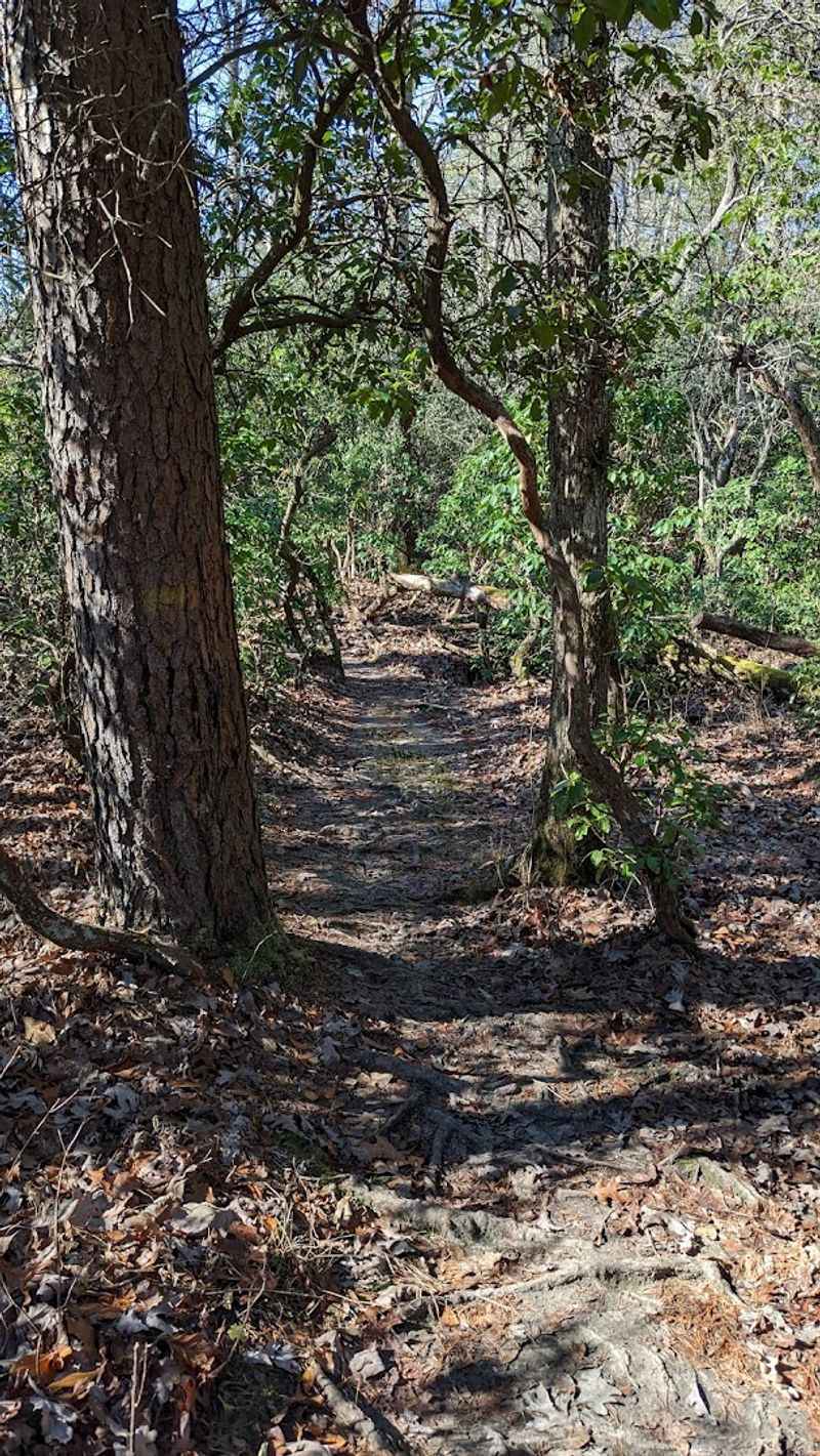 A Look At The Trail From Beginning To End