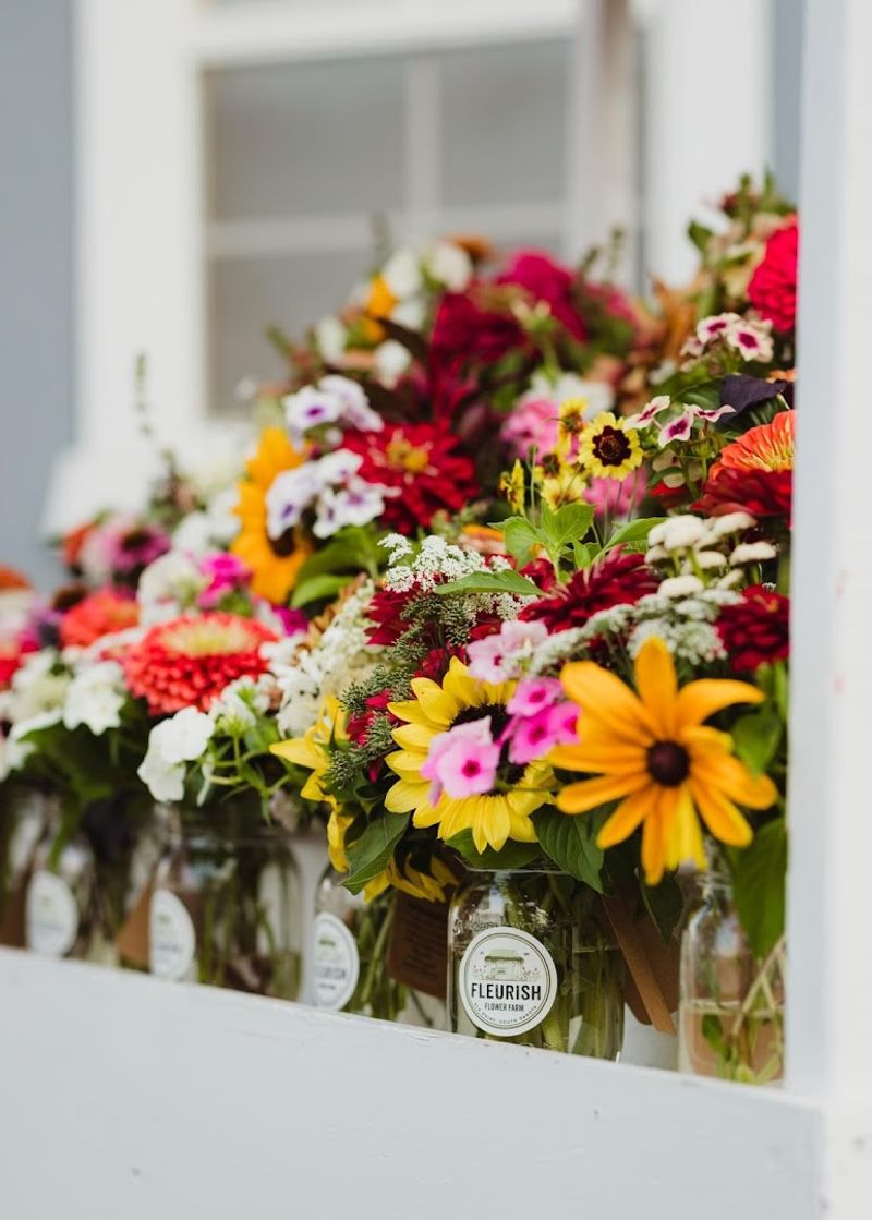 Tips For Making The Most Of Your Farm Visit