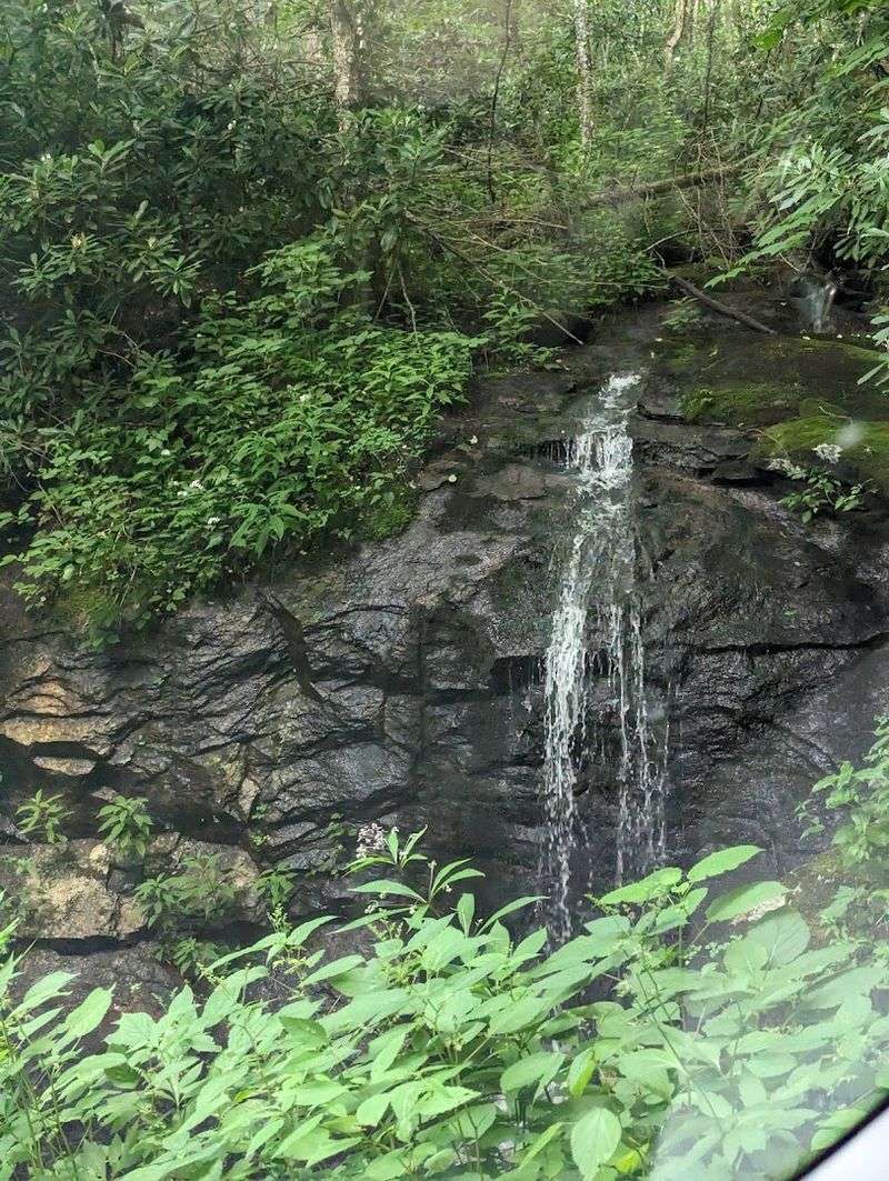 Navigating The Gravel Road Adventure From Barnardsville