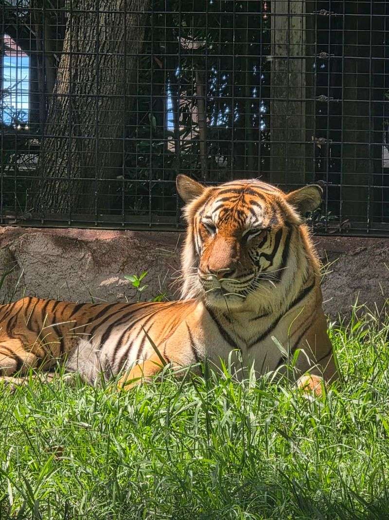 Hattiesburg Zoo