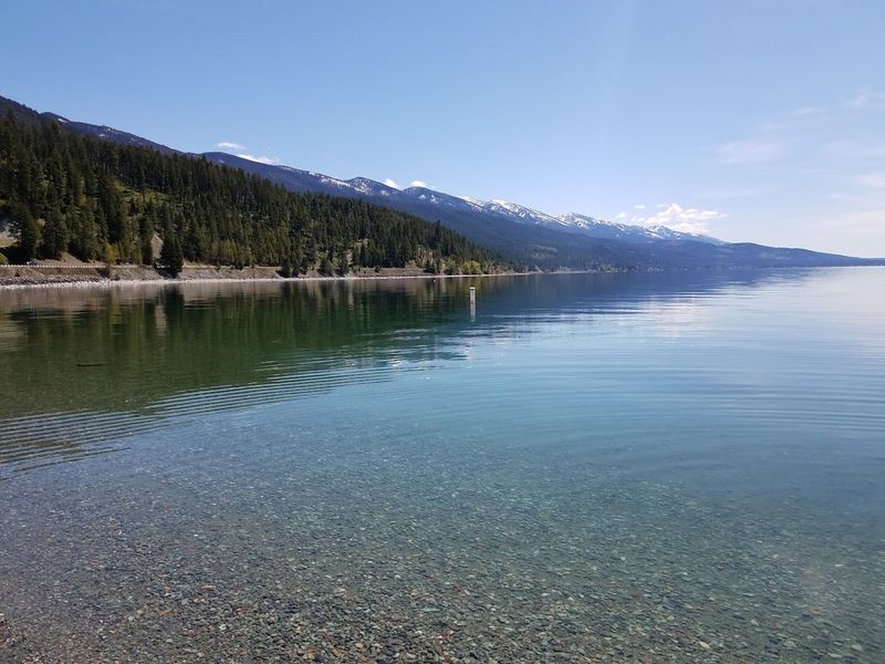 Essential Gear For Swimming Adventures