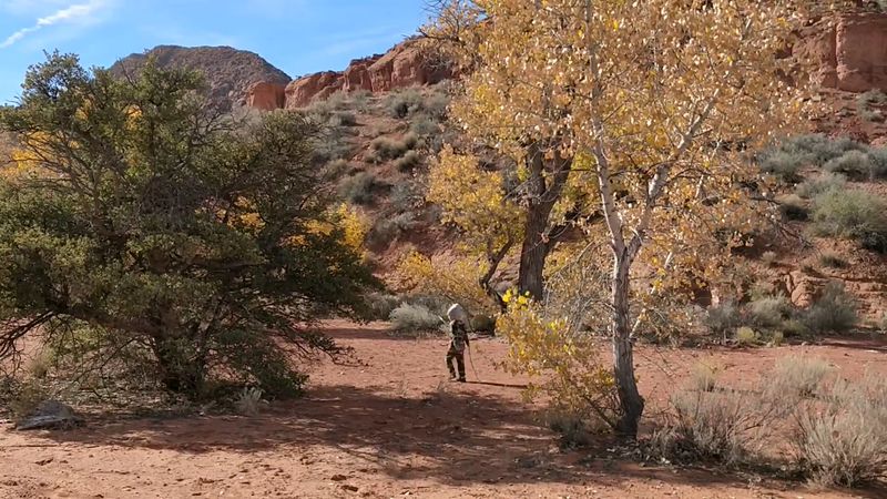 Best Times To Visit For Solitude