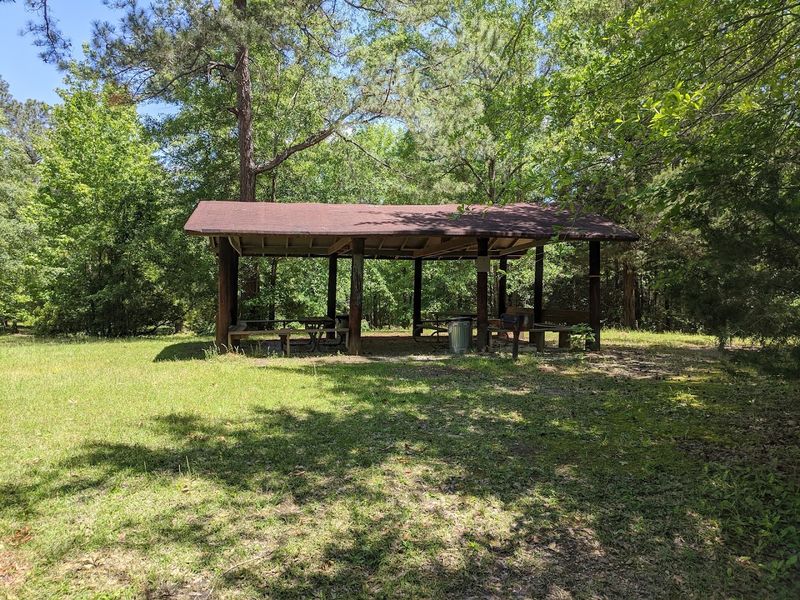 Picnic Spots That Deliver