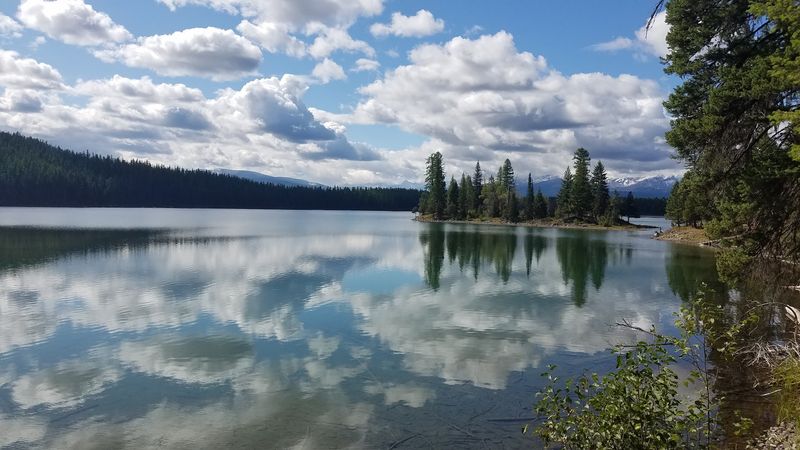 The Forest Service Said No