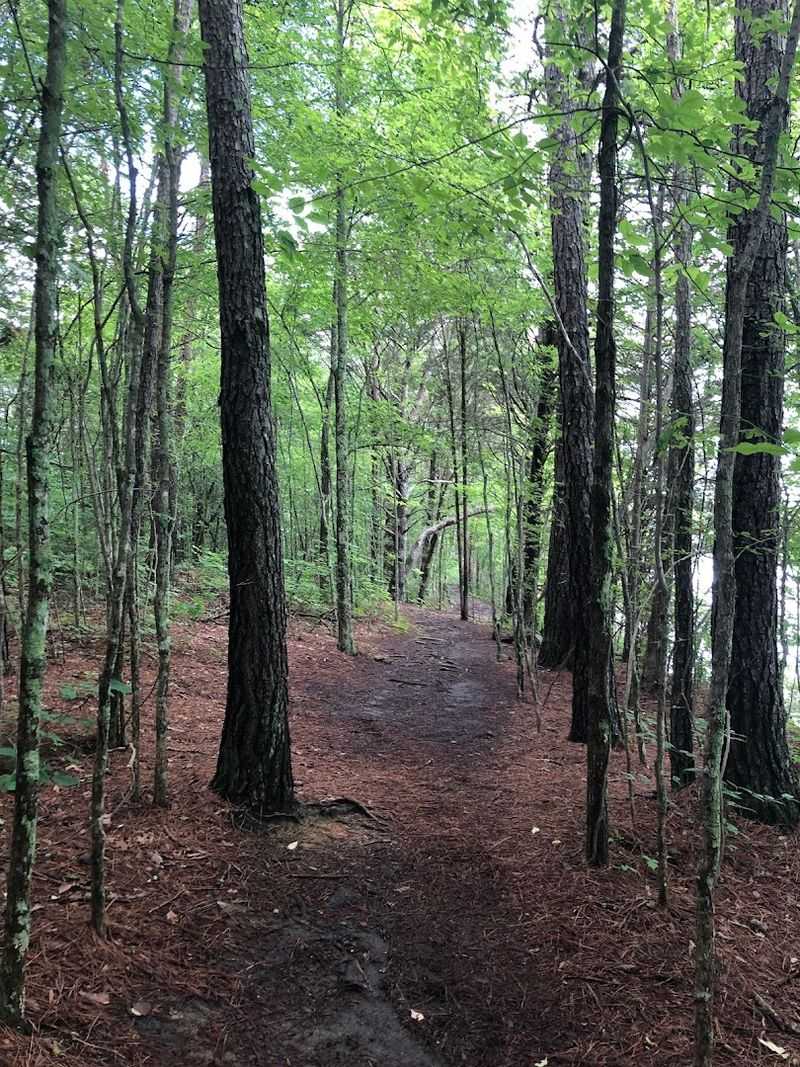 A Path Through Time