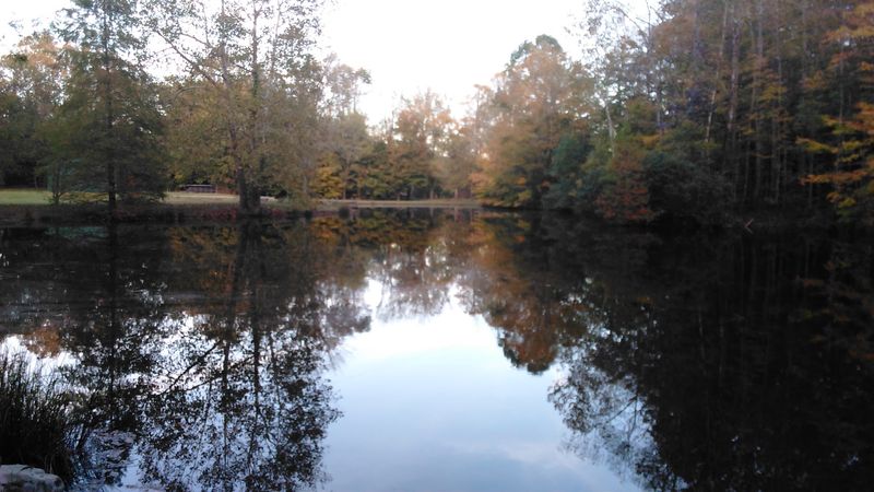 Calm Water Still Calls For Careful Swimming