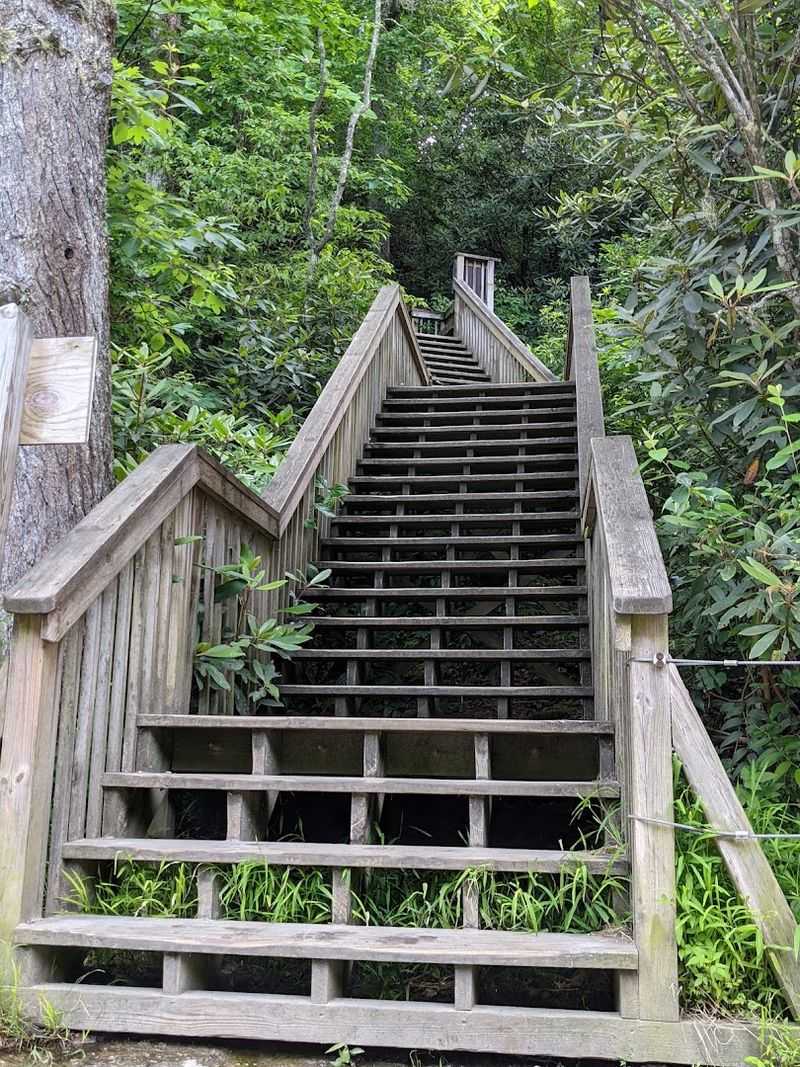Preparation Tips For Safe Hiking Adventures