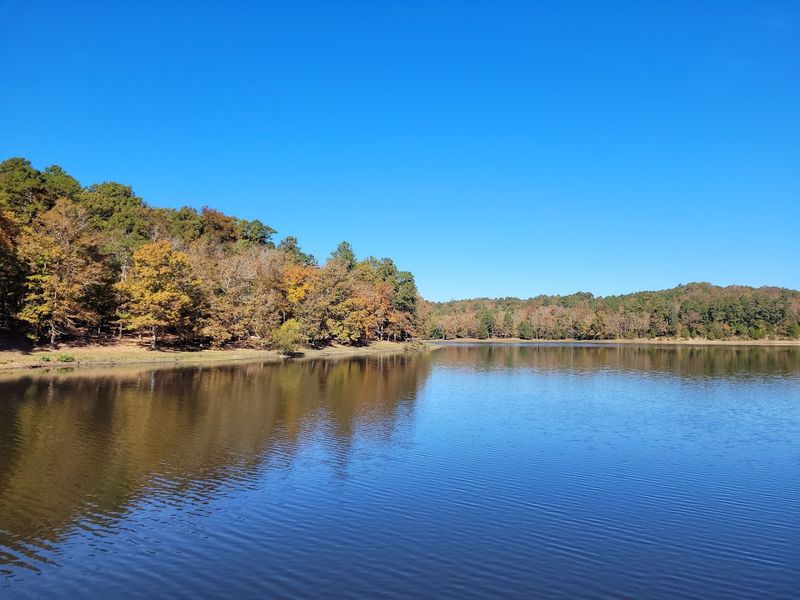 Outdoor Activities Around A Year Round Cool Spring