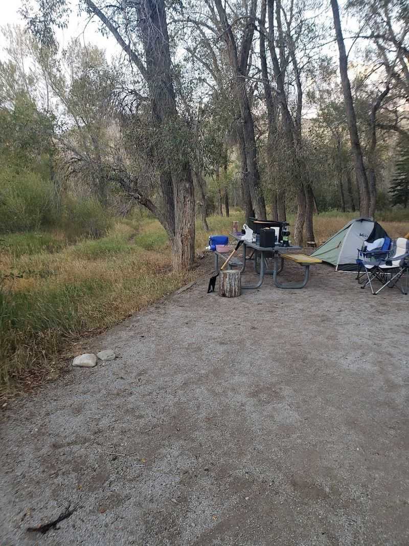 Camping Right On The River's Edge
