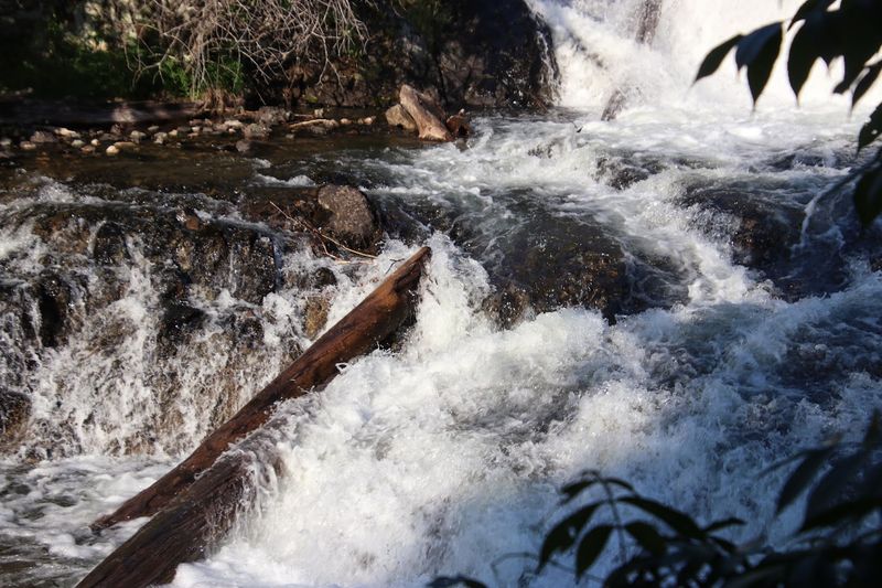 From Logging Boom To Wilderness Forever
