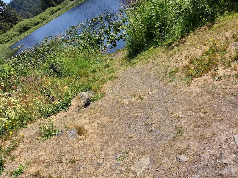 How Easy The Hike Actually Is