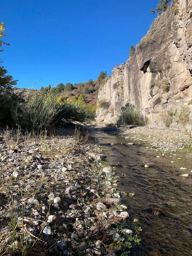 Fishing The High Desert Streams