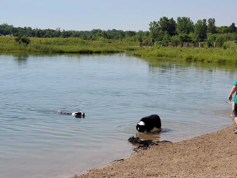 Family Fun, Dog Beaches, And Room To Breathe