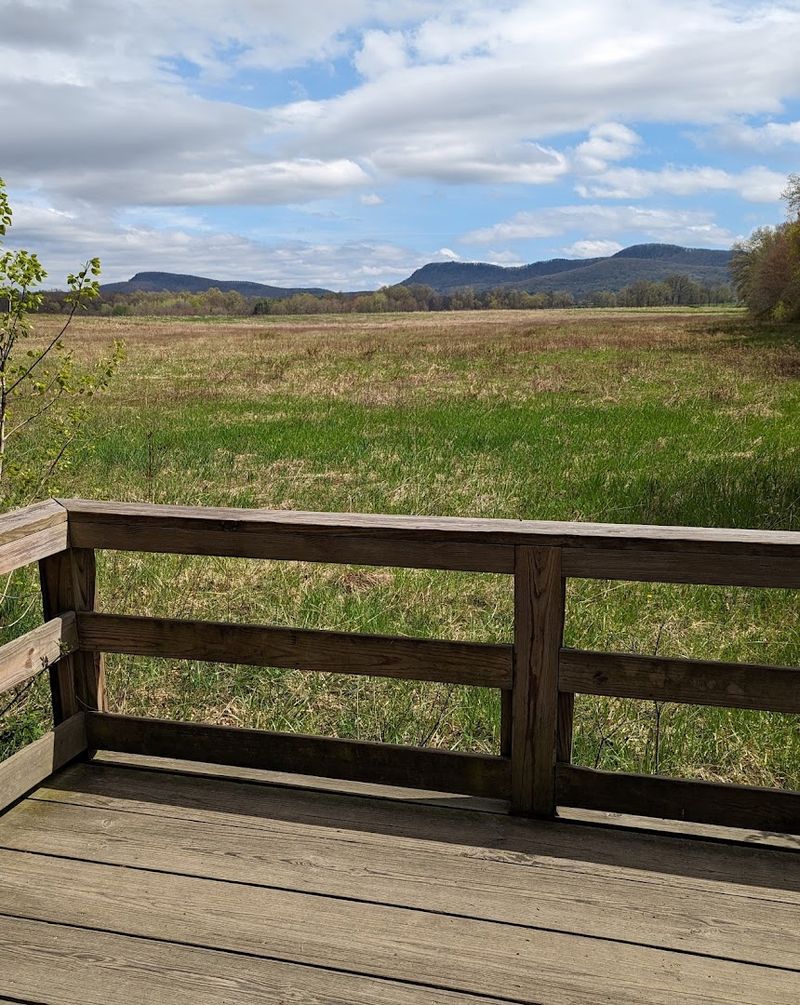 Scenery That Stops You Mid-Step