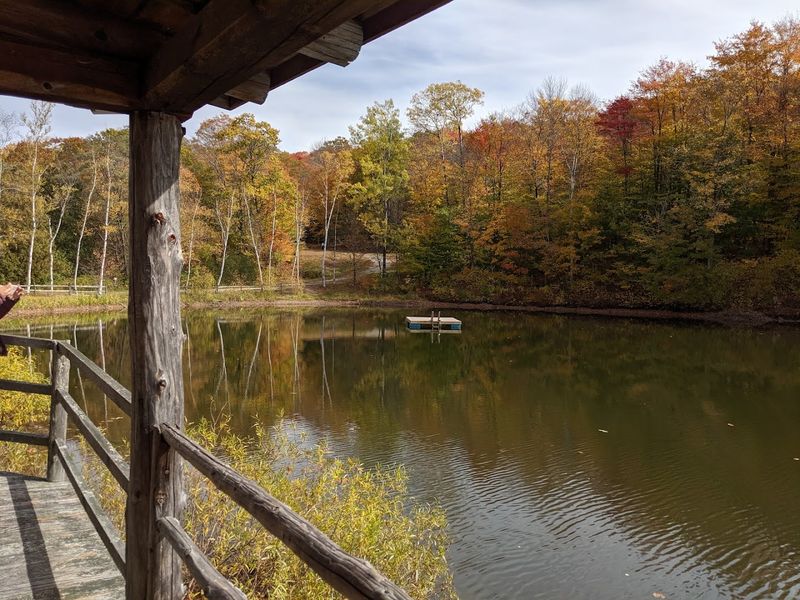 Peaceful Walking Routes With Stunning Views
