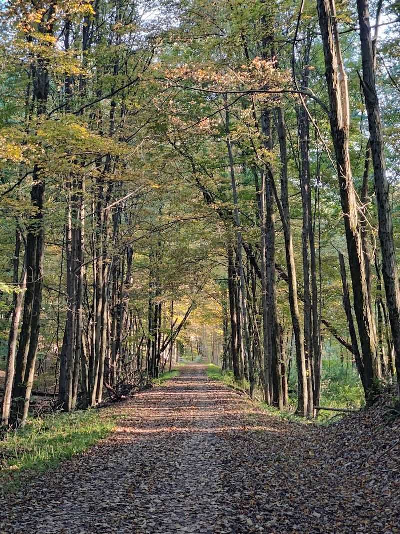 How To Plan Your Best Day On The Trail