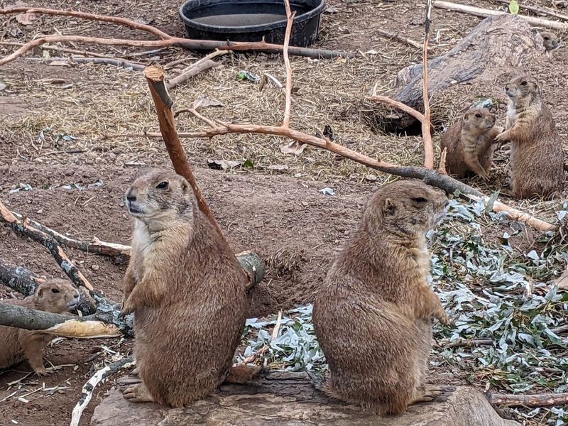 Ochsner Park Zoo